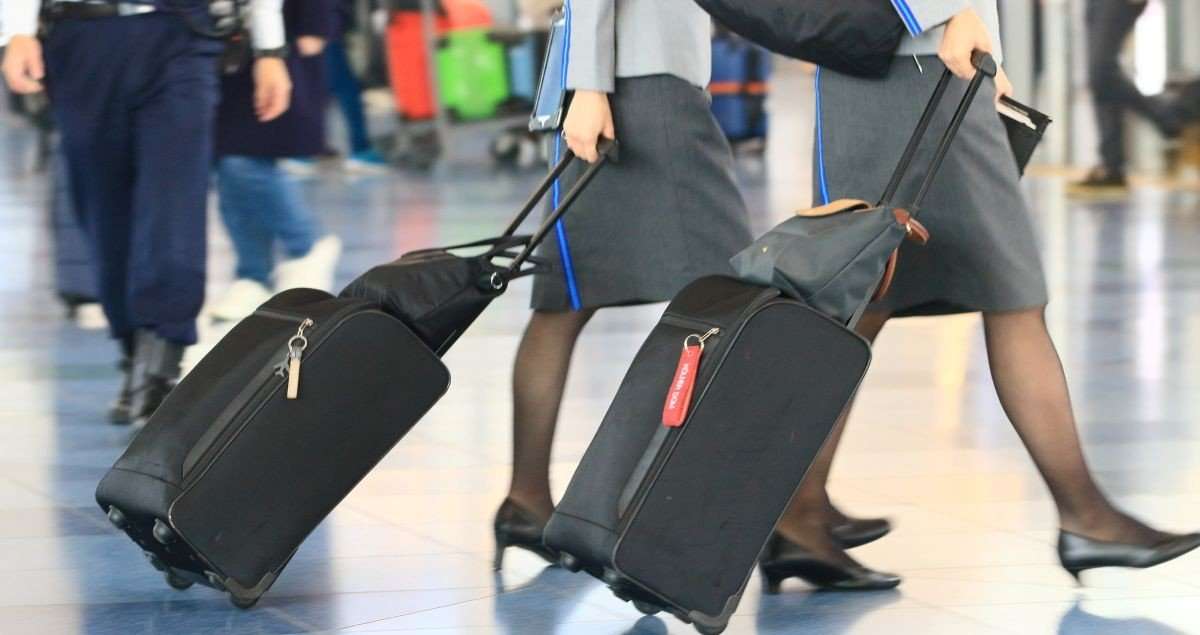 ANAとJALで約80万円差、CAの平均年収が高いのはどっち？「憧れの職業」に起きた異変 | 激動！エアライン | ダイヤモンド・オンライン