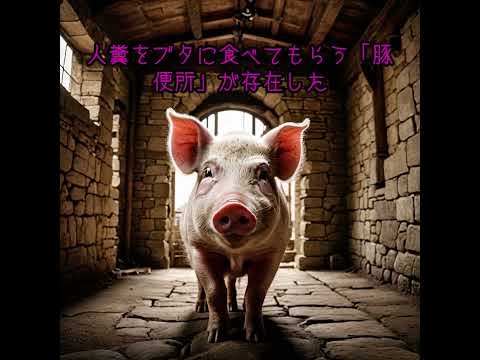被災地でのトイレ問題を最優先で考える