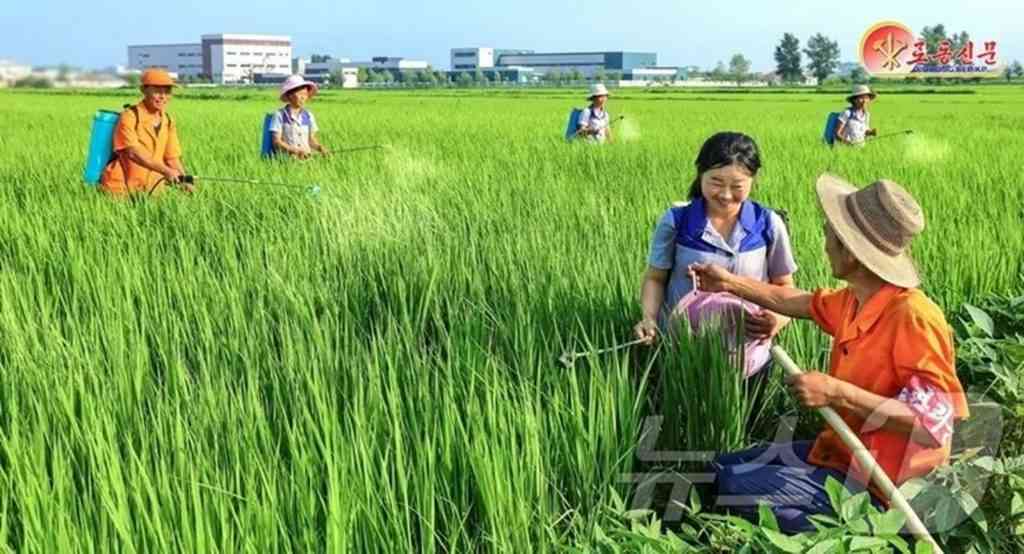 北朝鮮、猛暑・洪水・干ばつで「複合危機」の恐れ…食料・医療から軍事施設まで影響（KOREA WAVE） - Yahoo!ニュース