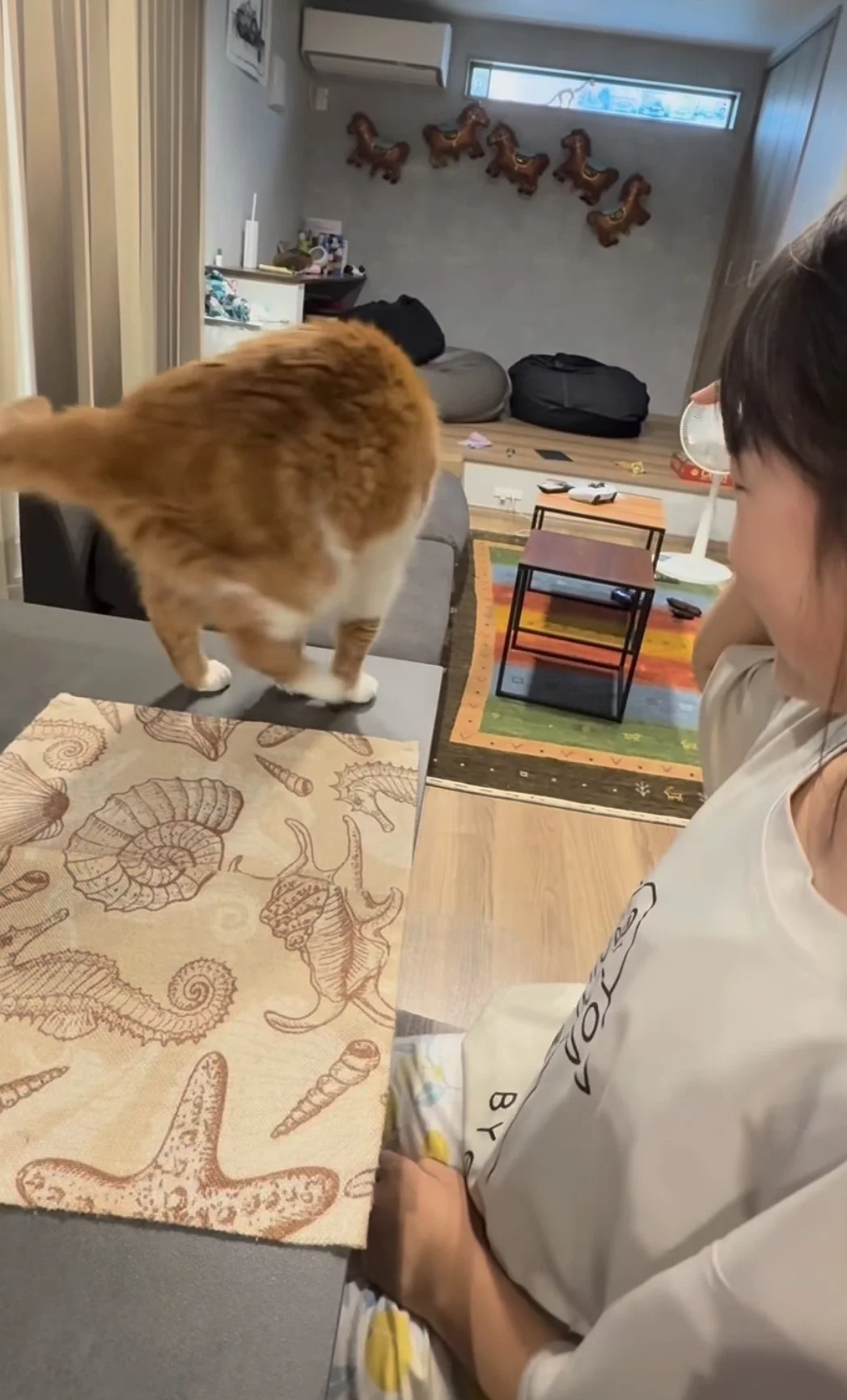 「本当に猫？」犬のようなパフォーマンスを披露する猫ちゃんに80万いいね