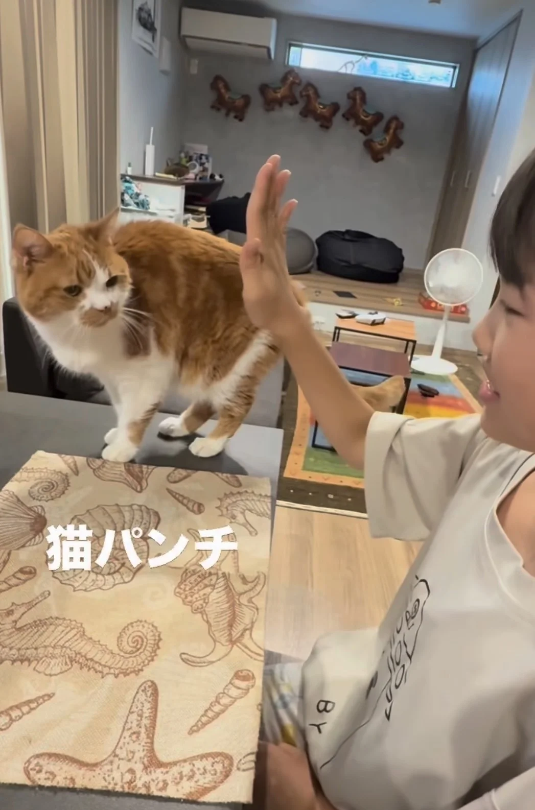 「本当に猫？」犬のようなパフォーマンスを披露する猫ちゃんに80万いいね