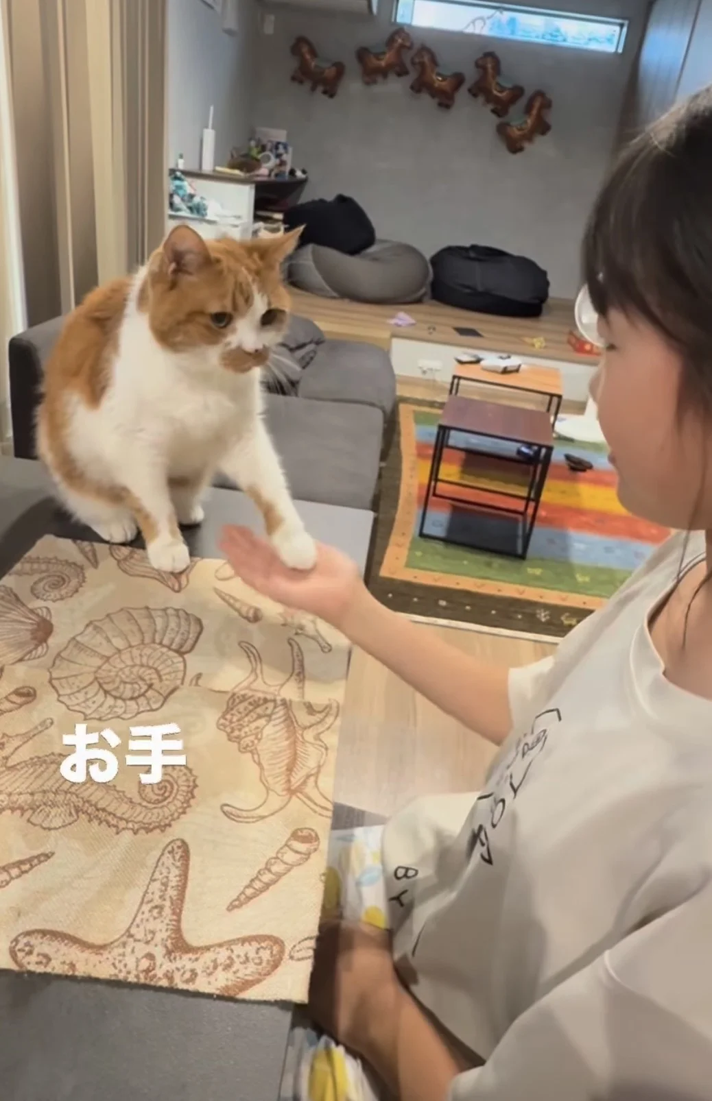 「本当に猫？」犬のようなパフォーマンスを披露する猫ちゃんに80万いいね