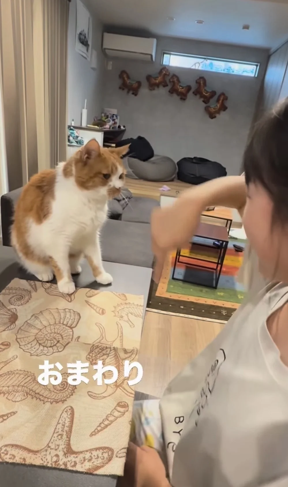 「本当に猫？」犬のようなパフォーマンスを披露する猫ちゃんに80万いいね