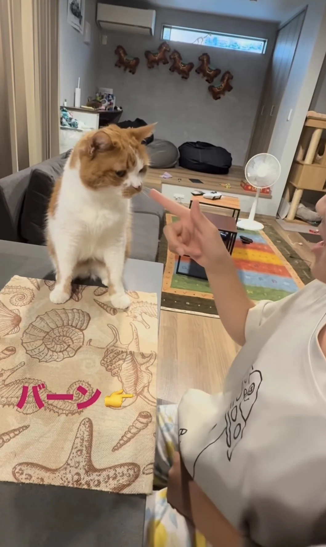 「本当に猫？」犬のようなパフォーマンスを披露する猫ちゃんに80万いいね