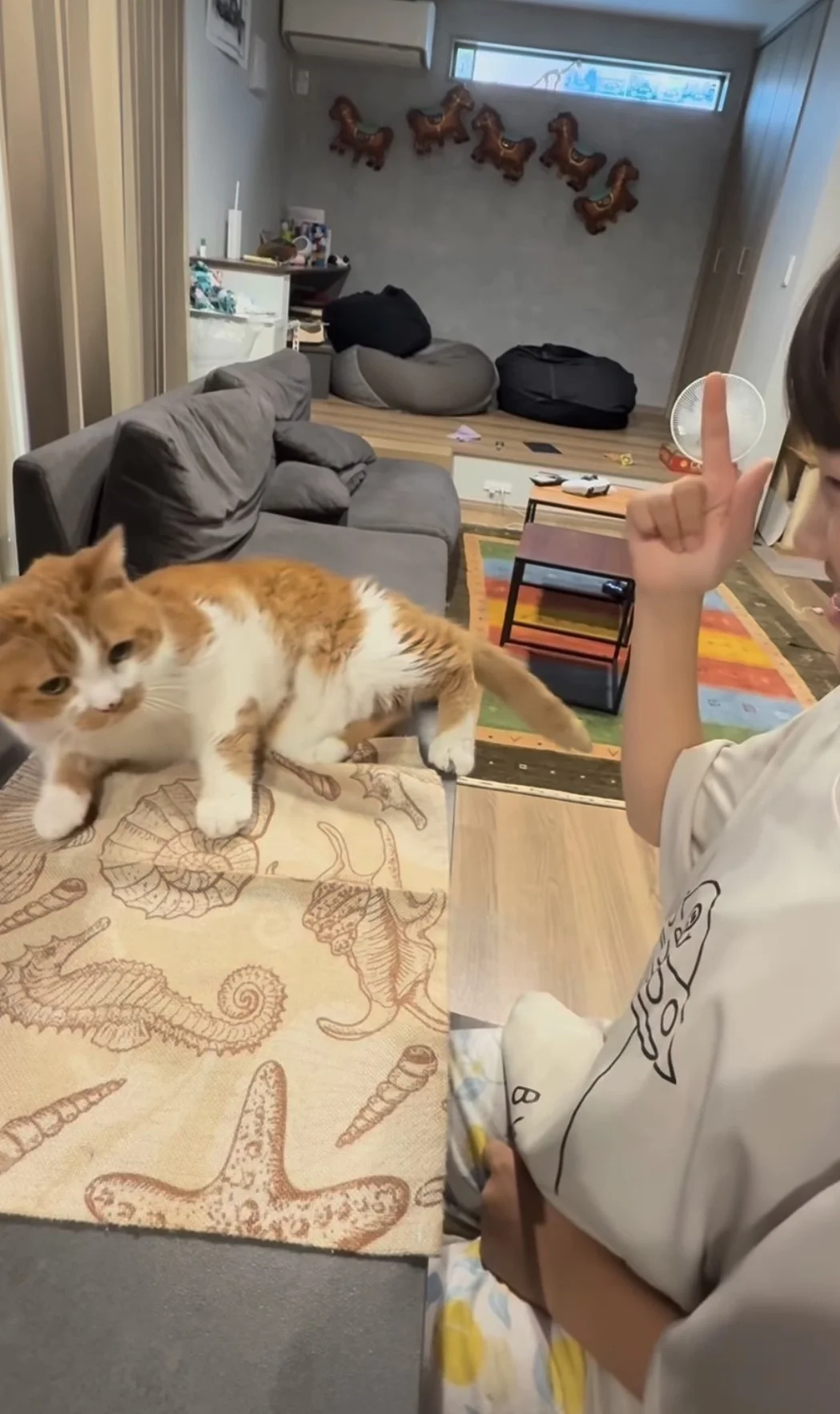 「本当に猫？」犬のようなパフォーマンスを披露する猫ちゃんに80万いいね