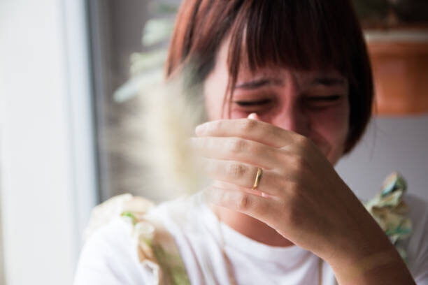 紗栄子さん「離婚したくなかったから……」最初で最後の号泣事件を明かす