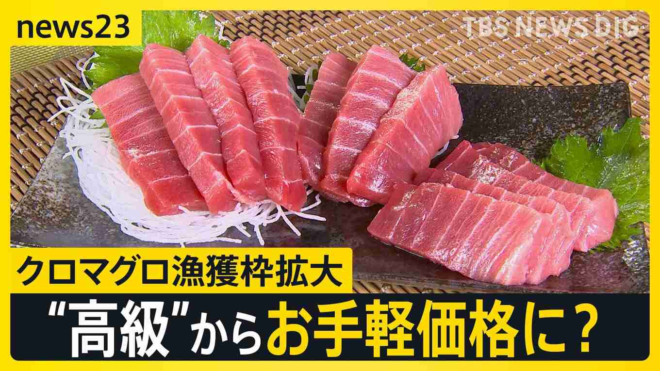 クロマグロ漁獲枠25％拡大で合意　来年はトロ1皿「580円→480円」に？ “反対”表明のメキシコが一転して“賛成”【news23】
