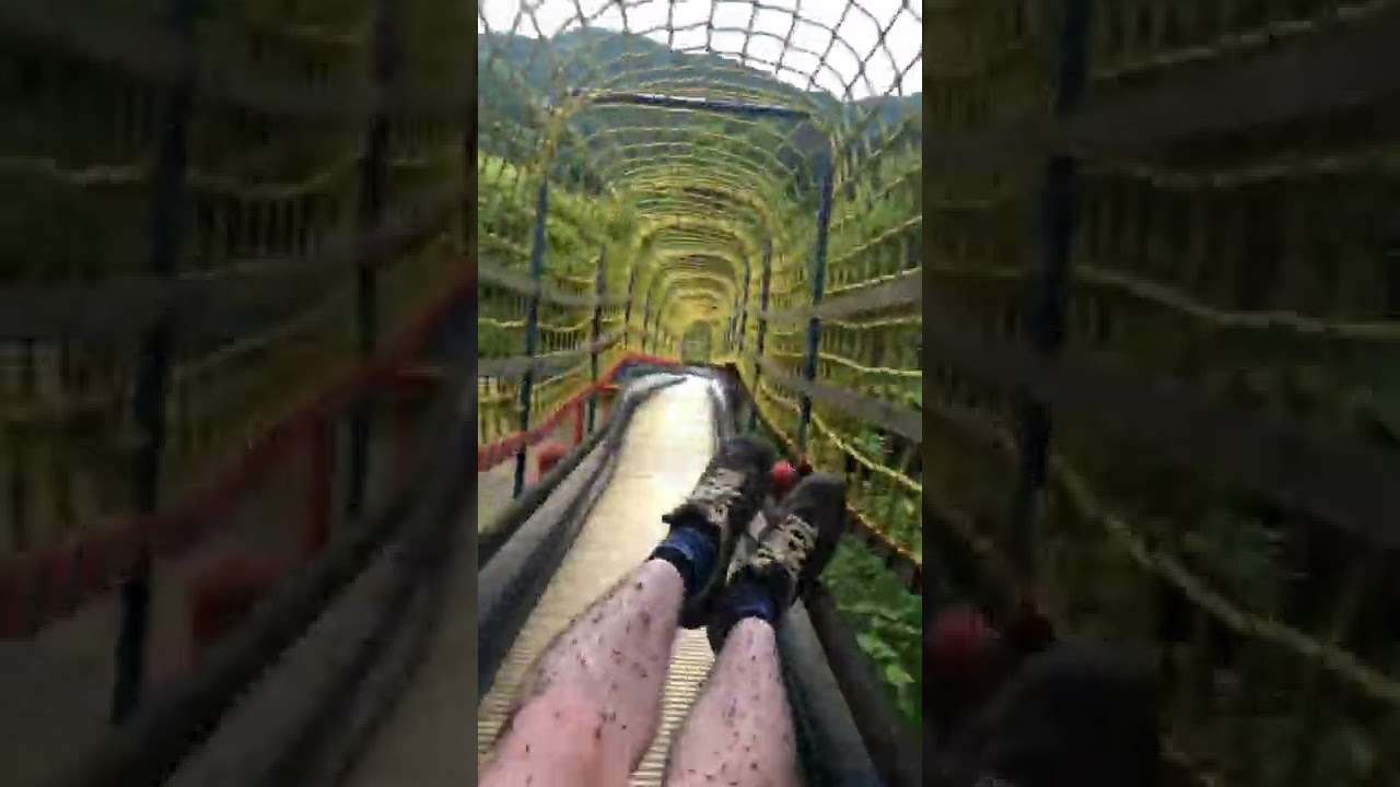 定期的に見たくなる動画