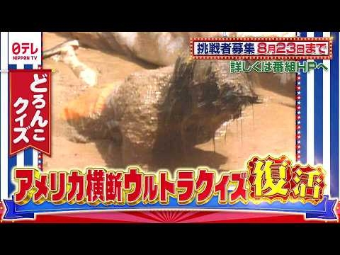 アメリカ横断ウルトラクイズ　挑戦者募集！