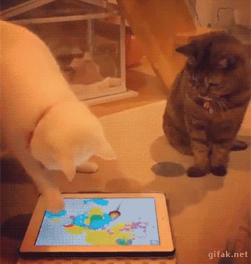 よく分からないことで怒られた選手権