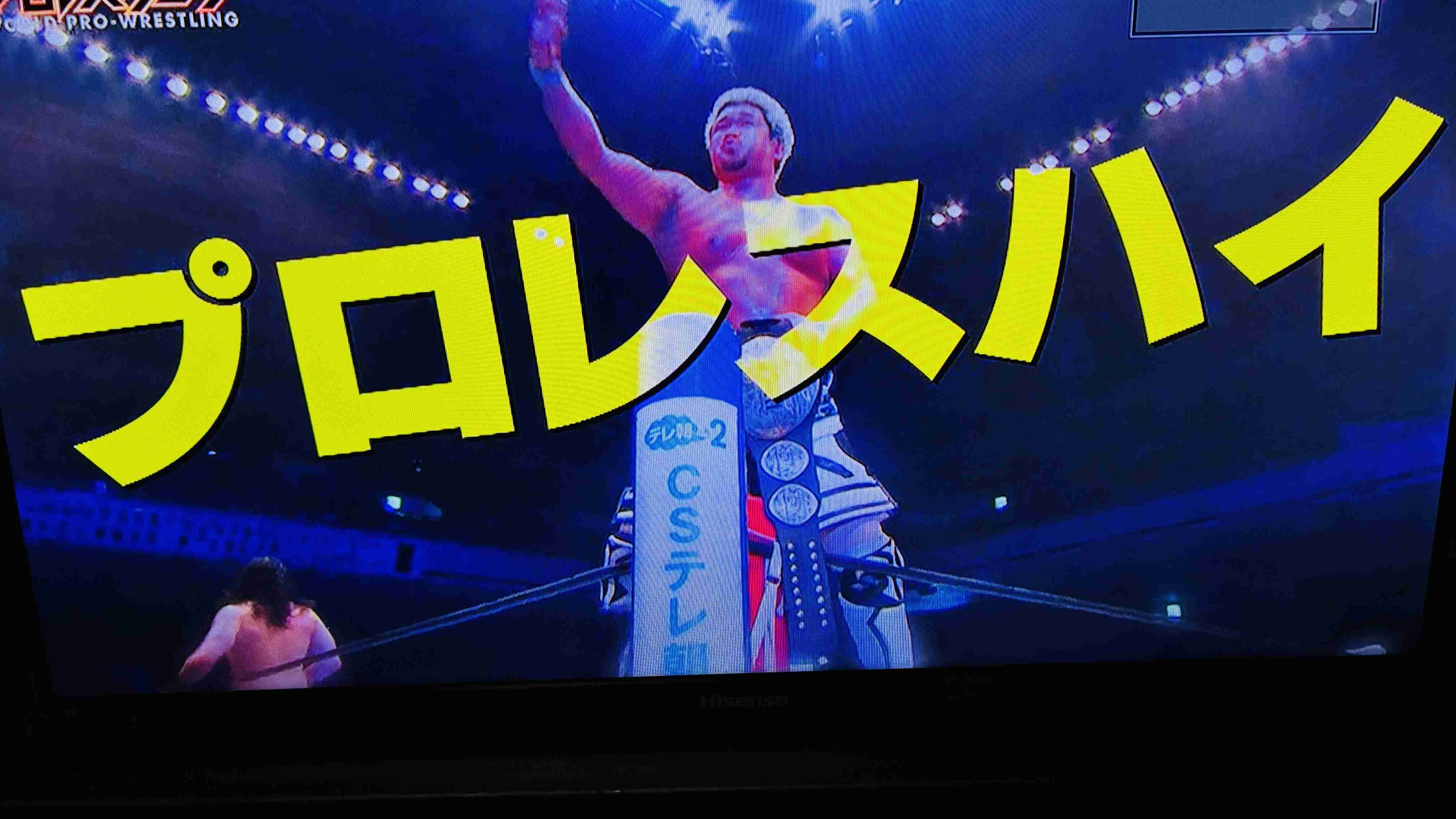 プロレス愛を語るトピ