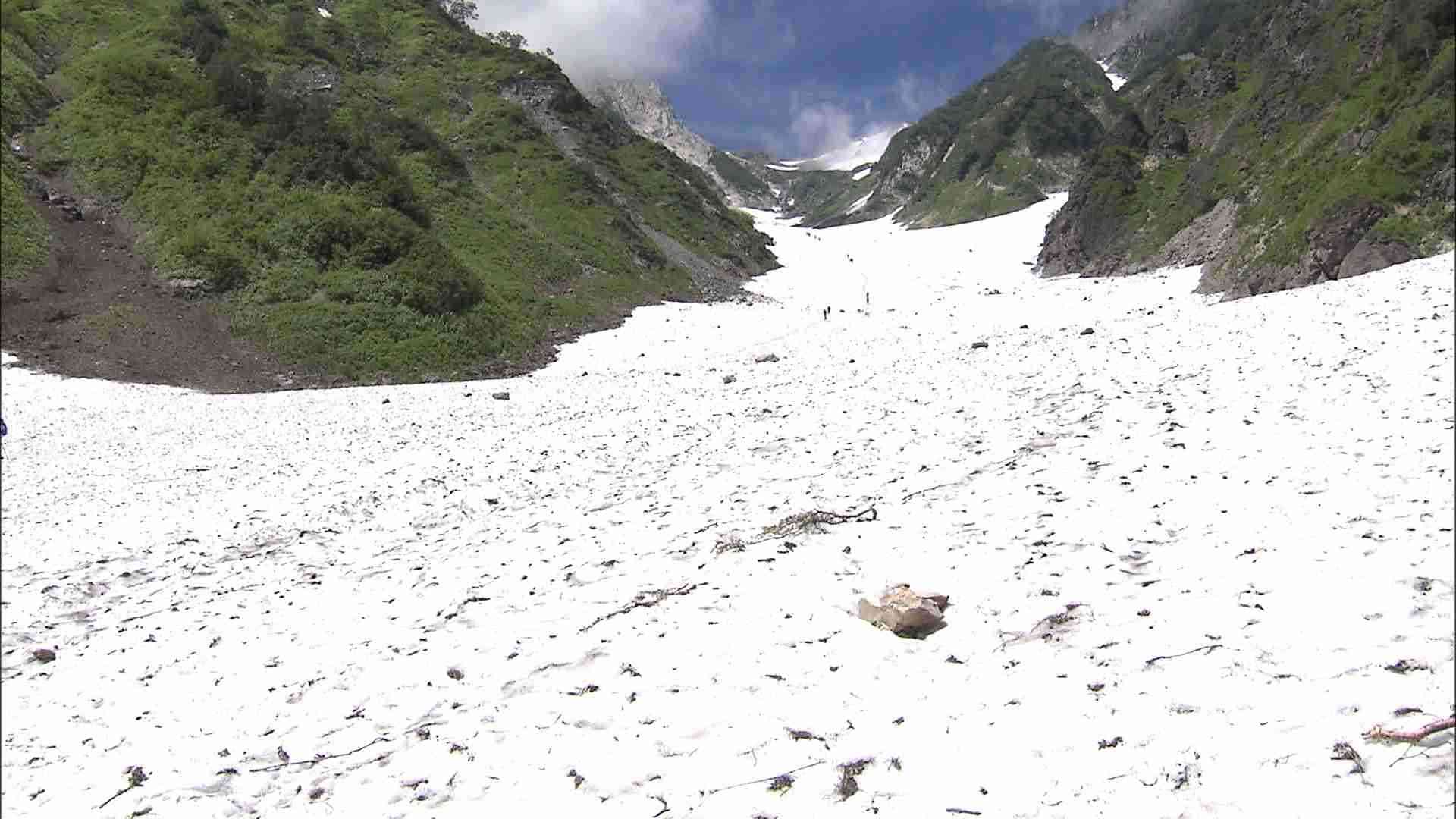 15人のツアー登山なのに1人だけ雨に打たれて... 　救助を要請したのは通りがかりの登山者　北アルプス白馬岳で東京の61歳男性が行動不能に　救助隊員が同行下山しけがは無い模様