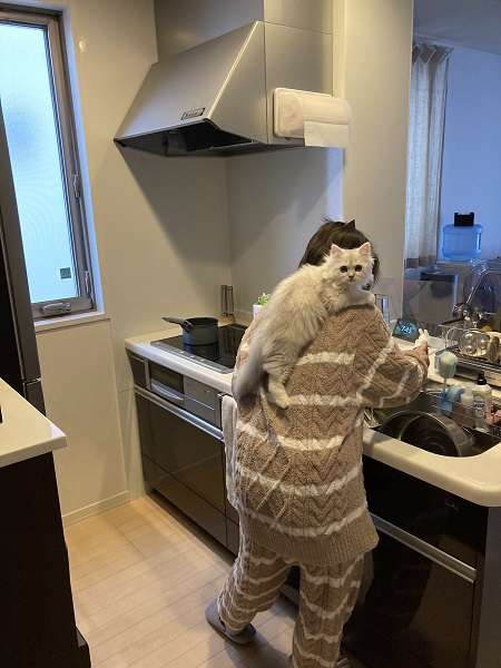 甘えん坊の猫さんを飼っている方