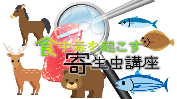 肉からも魚からも…10メートルのサナダムシ　- 食中毒を起こす寄生虫講座 第３回 -｜MHCL WORKS LABO