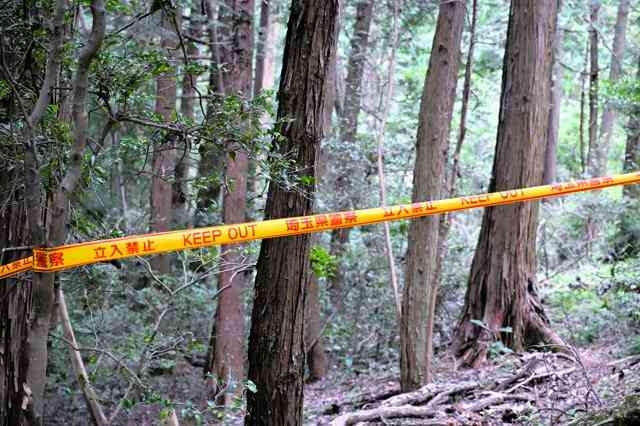 埼玉・飯能の山中に91歳女性遺体　ベトナム国籍の男、殺害を示唆