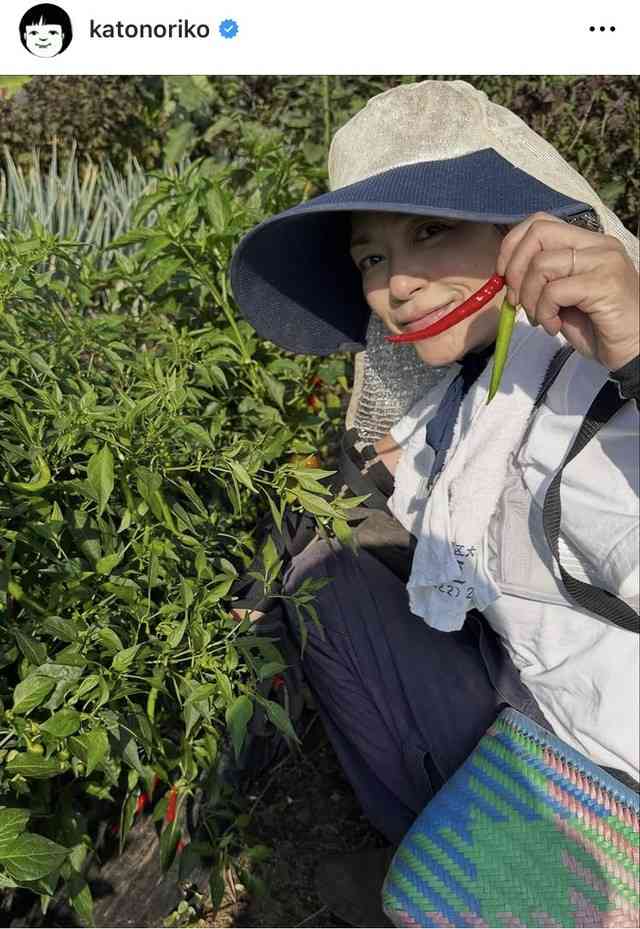 「最高峰の国際資格」に合格した加藤紀子 作業にいそしむ53歳の近影 畑仕事でもマジカル美貌