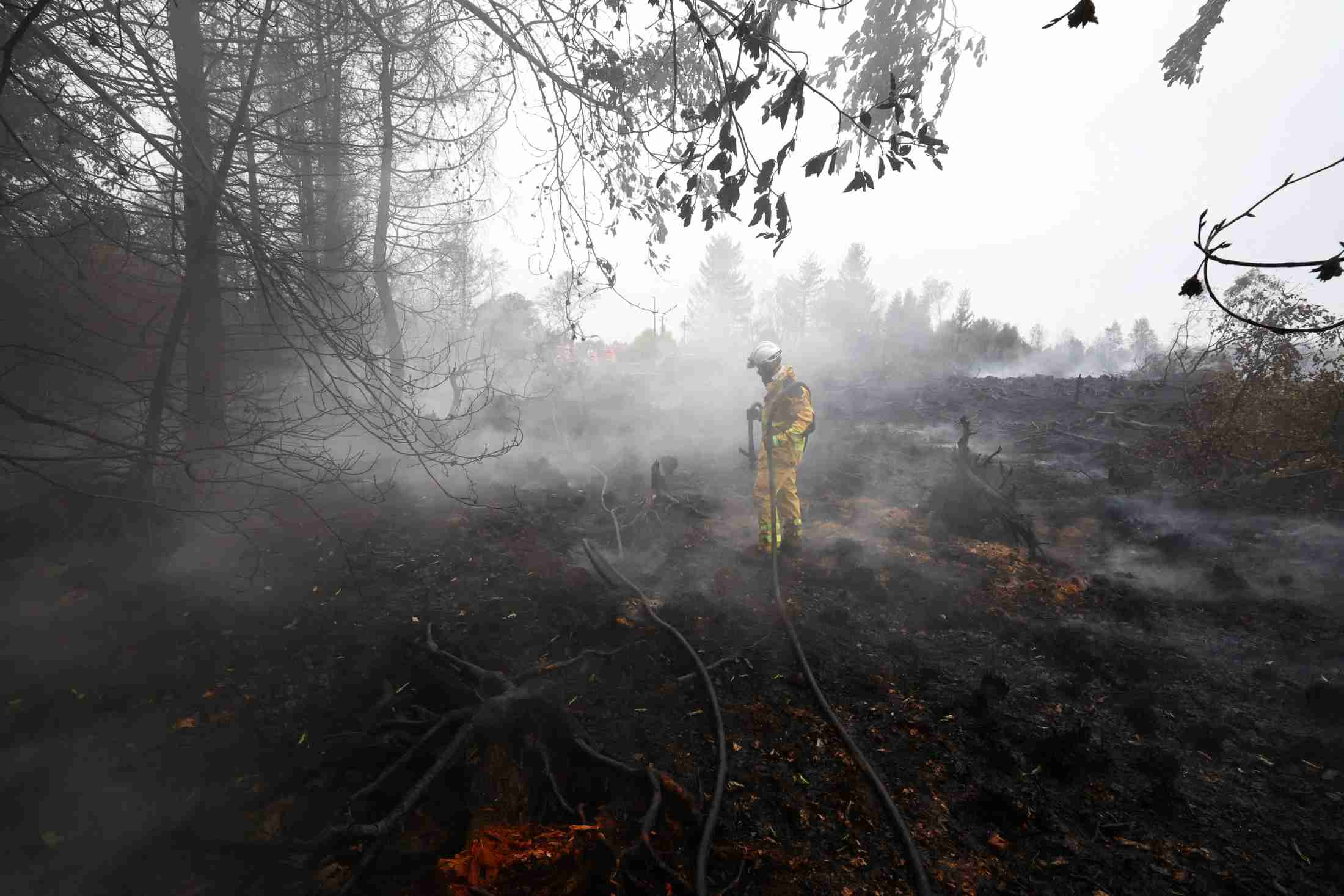 ベルギー観測史上最大の山火事、雨で鎮静化　独への延焼の危険後退（ロイター） - Yahoo!ニュース
