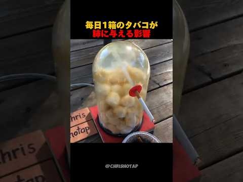 毎日1箱のタバコが肺に与える影響