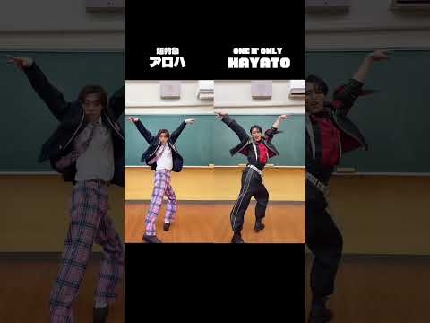 【ワビサビニキとアロハの大移動】アロハとHAYATOのYES!東京【EBiDAN】