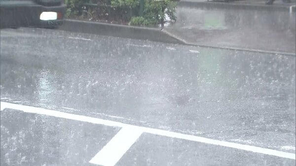 【河川洪水予報】善福寺川・野川・仙川レベル４氾濫危険警報　東京都｜FNNプライムオンライン