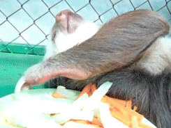 3口で飽きる食べ物