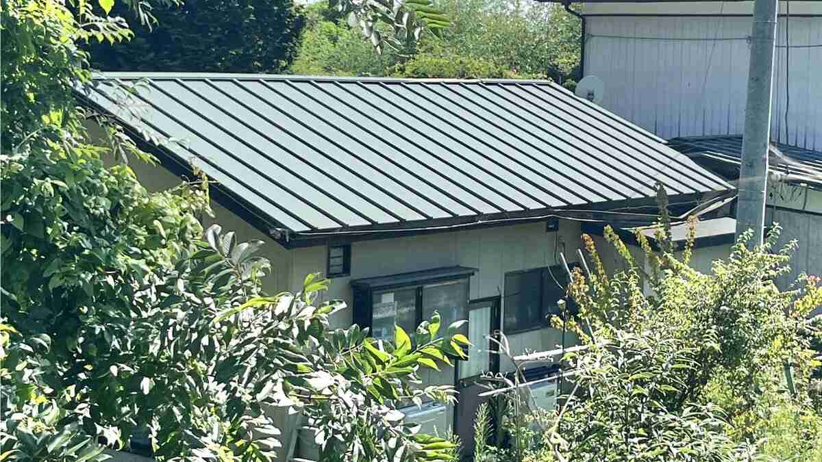 義理の弟（44）に暴行を加え死亡させたか　傷害致死容疑で41歳の女逮捕　群馬県警 | TBS NEWS DIG