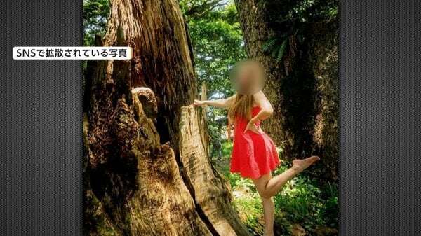 樹齢800年以上の天然記念物に木登り…禁止行為をSNSに投稿　外国人女性か　批判相次ぎ看板設置　鹿児島・日置市｜FNNプライムオンライン