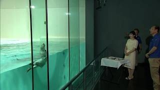 愛子さま 三重県の鳥羽水族館でジュゴンやラッコをご覧に