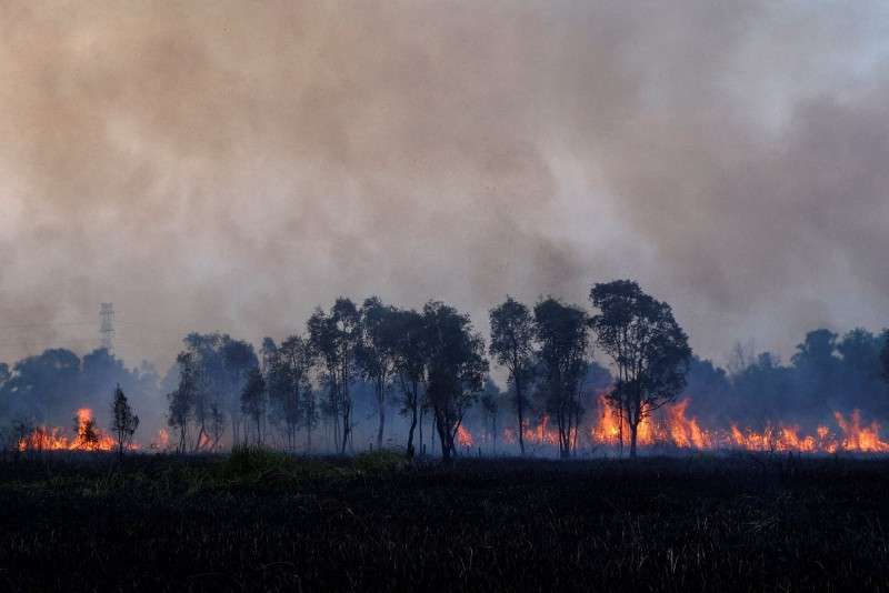 インドネシアの森林火災拡大、煙害マレーシアにも　人工降雨難航（毎日新聞） - Yahoo!ニュース
