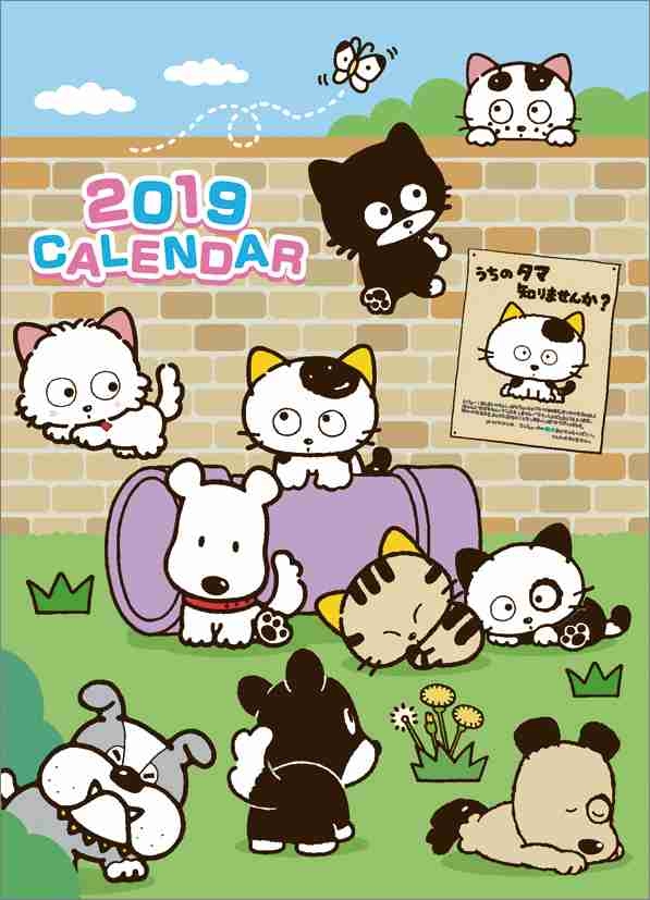 うちのタマ知りませんか？：擬人化アニメのビジュアル公開　タマやポチの“獣耳”キャラが大集合