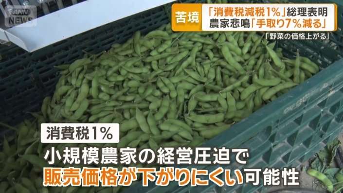 消費減税1%で「手取り7%減る」 納税免除農家の苦悩「販売価格上げざるを得ない」