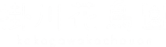バードショー