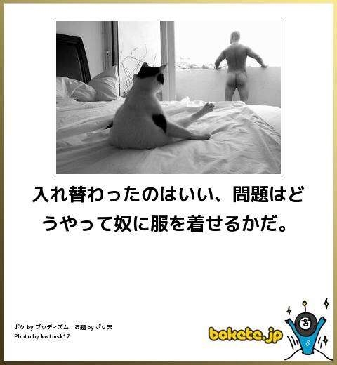 綾瀬はるか、ユニクロ “上半身裸” CMに「見てて不快」の声も…過剰露出とともに疑問集まる “謎設定”
