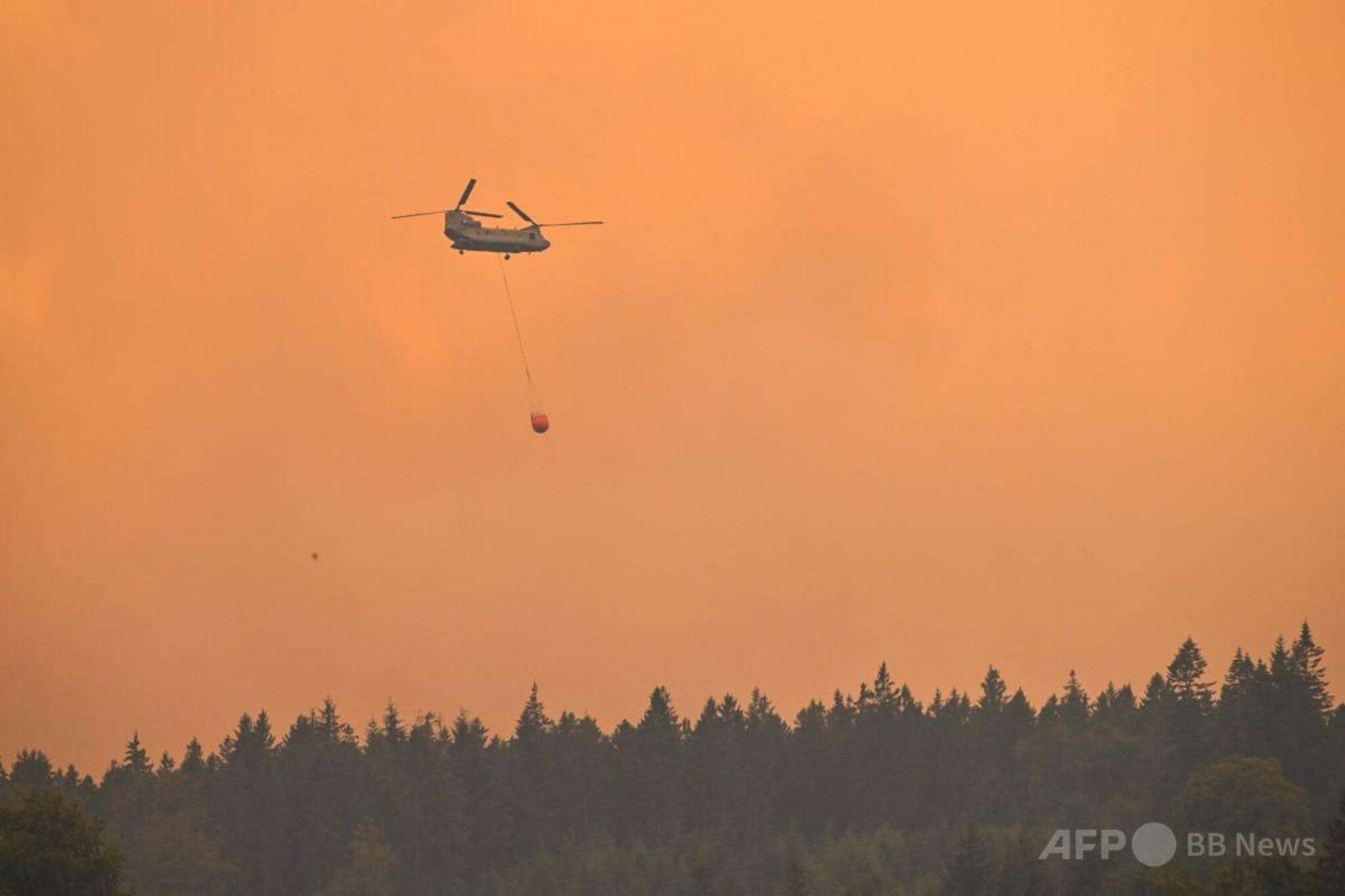 ドイツ国境の町で一部避難命令、隣国ベルギーの山火事迫る（ＡＦＰ＝時事） - Yahoo!ニュース