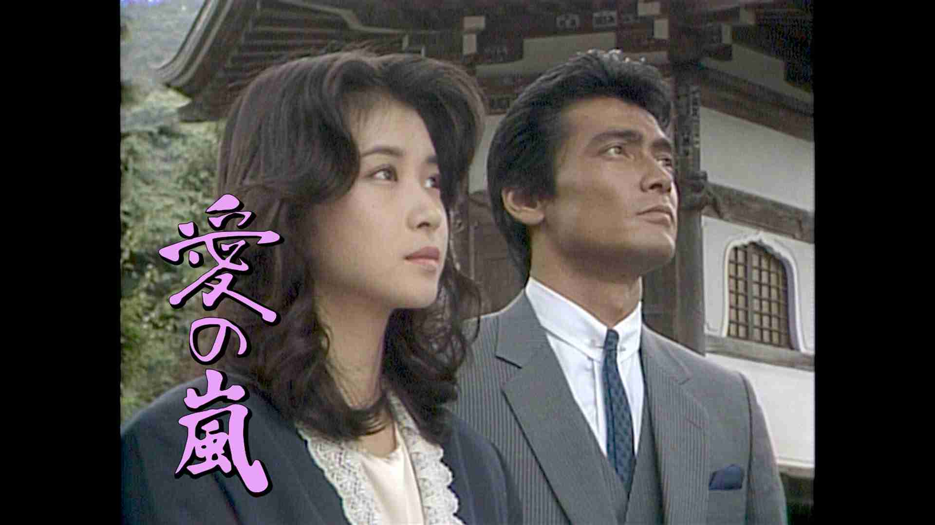 【昼ドラ】『愛の嵐』再放送