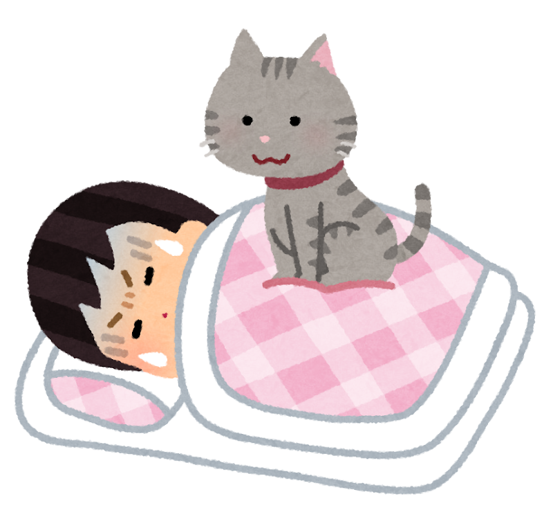 猫飼ってる人あるある