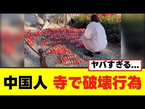 【衝撃】中国人が寺で破壊行為をする動画が再び話題に