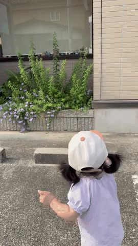 笑えるGIFが見たい