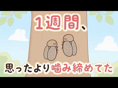 セミこんな会話してんだ【アニメ】