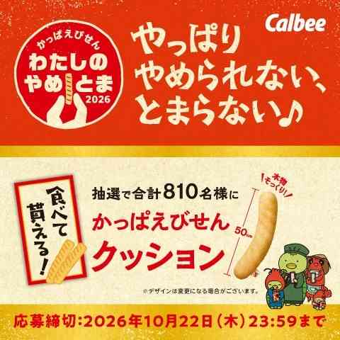 【30代以上】大人になってもやめられなかったもの