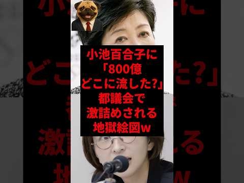小池百合子に「800億どこに流した？」都議会で激詰めされる地獄絵図w