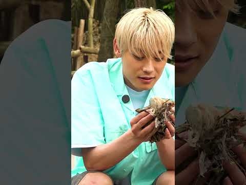 最難関の着火に超特急・髙松アロハがチャレンジ！