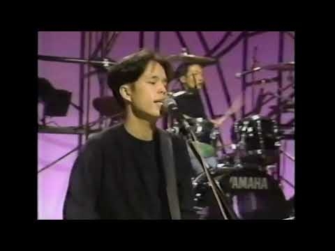 イカ天 1990 0414 ⑤【LITTLE CREATURES】 MY LIFE AS A DOG