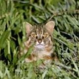 >>42呪われた東京人『ズムサタ』リポーターなどで活躍　3人の母親。ひじりえまさん... | ガールズちゃんねる - Girls Channel -