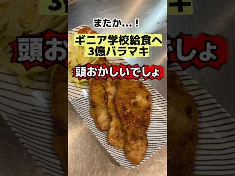 「財源ない」はずがギニア学校給食に3億支援
