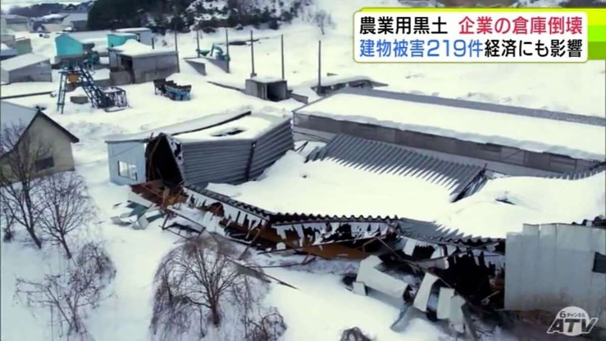 “災害級の大雪”が経済活動にも影響　黒土や堆肥を製造・販売の五所川原市の会社では10棟ほどの倉庫が壊れる「黒土はほぼ消滅…修復は無理」　記録的な大雪で建物被害が210件超の青森県 | 青森のニュース│ATV NEWS│青森テレビ (1ページ)