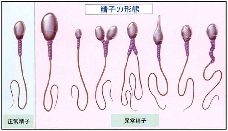 九州男児エピソード