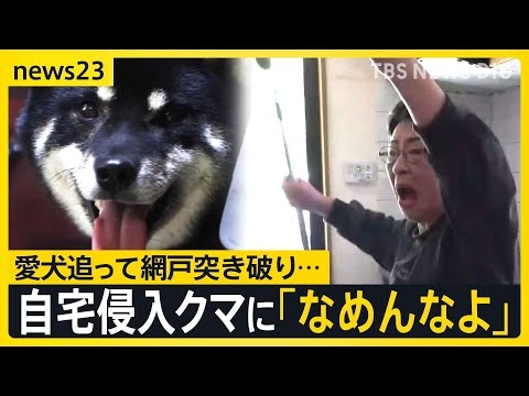 防犯カメラにクマ襲撃の瞬間 住宅街などで4人襲い福島市の工場内に居座る　相次ぐ“クマ被害”　岩手・自宅侵入のクマに「なめんなよ」【news23】｜TBS NEWS DIG