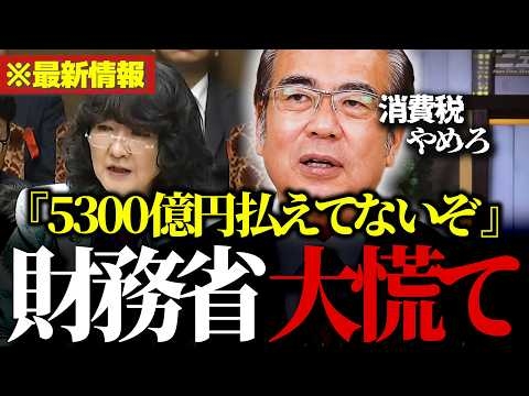 【話題】参政党の安藤幹事長が財務省の“消費税論”を完全論破！「5300億円消費税が滞納してますが…」【参政党/安藤裕/財務省/片山さつき自民党/高市早苗】