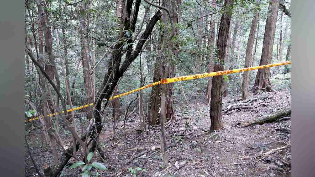 埼玉・飯能の山林に９１歳遺体、関与ほのめかすベトナム人「腹が減って盗みに入り殺した」…在留資格なし : 読売新聞